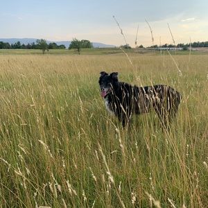 Meet your Posher, Jade